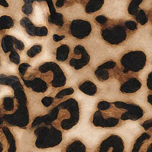 MACULA LEOPARDO